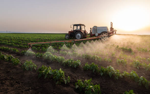 Insect Control in Prairie View, TX