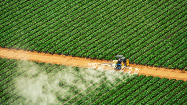 Best Best Pest Control Companies  in Prairie View, TX